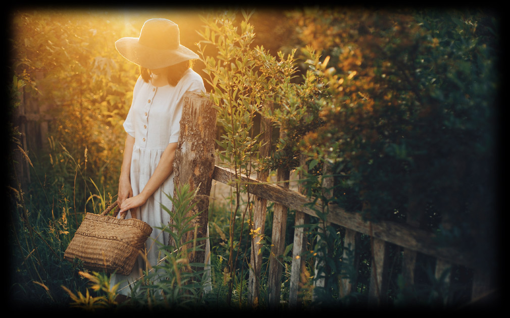 Womenswear from Florence and Company