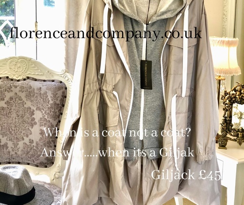 Designer Inspired Gilet Hooded Jacket metallic Stone